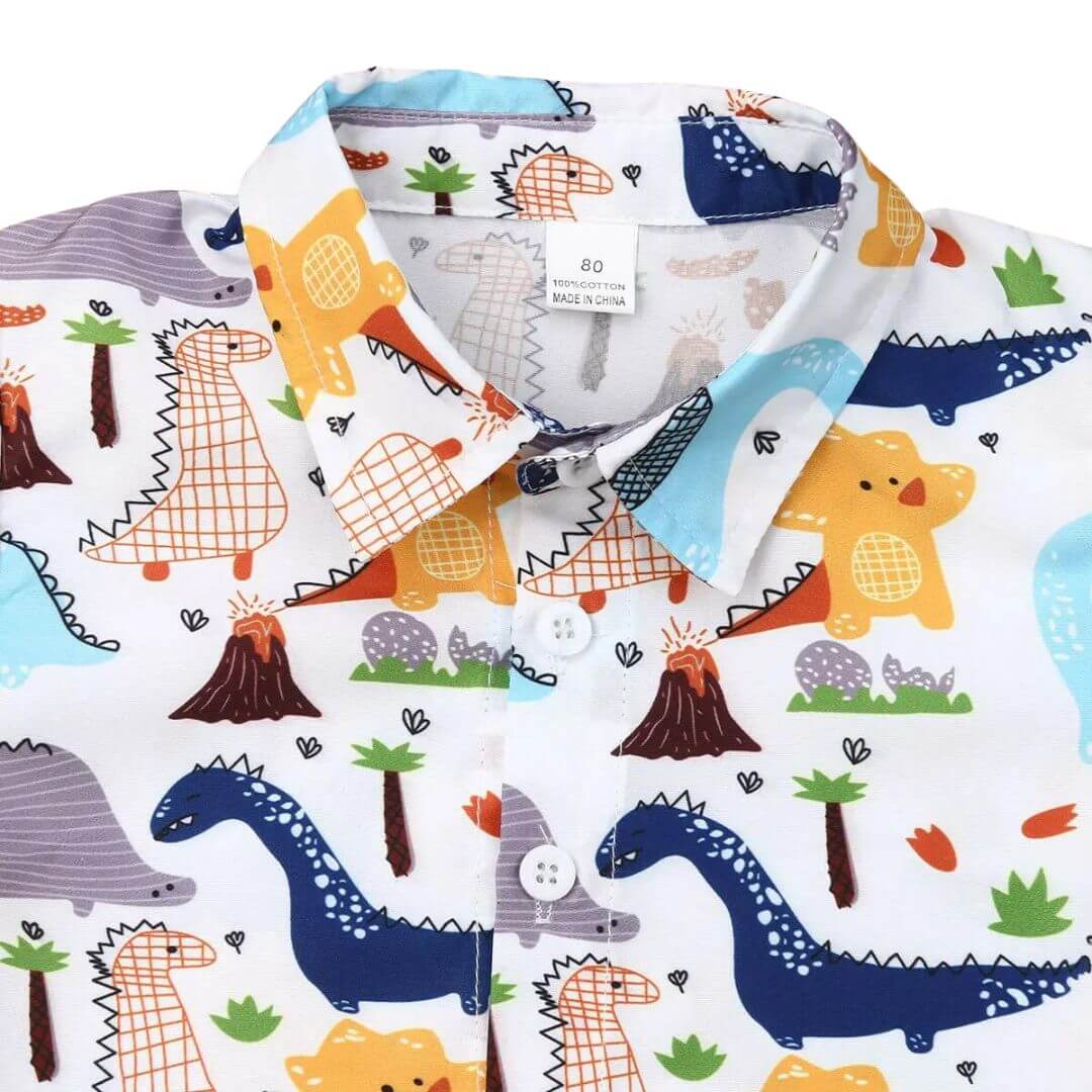 Dinosaur Toddler Shirt Set
