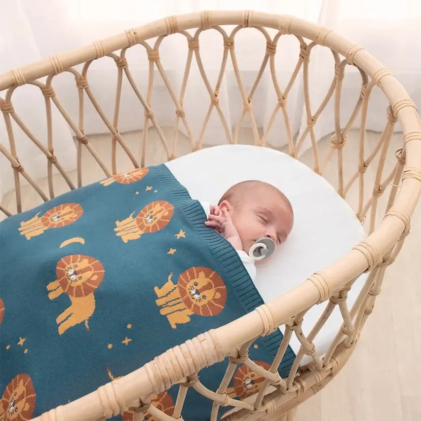 Baby bassinet blanket best sale