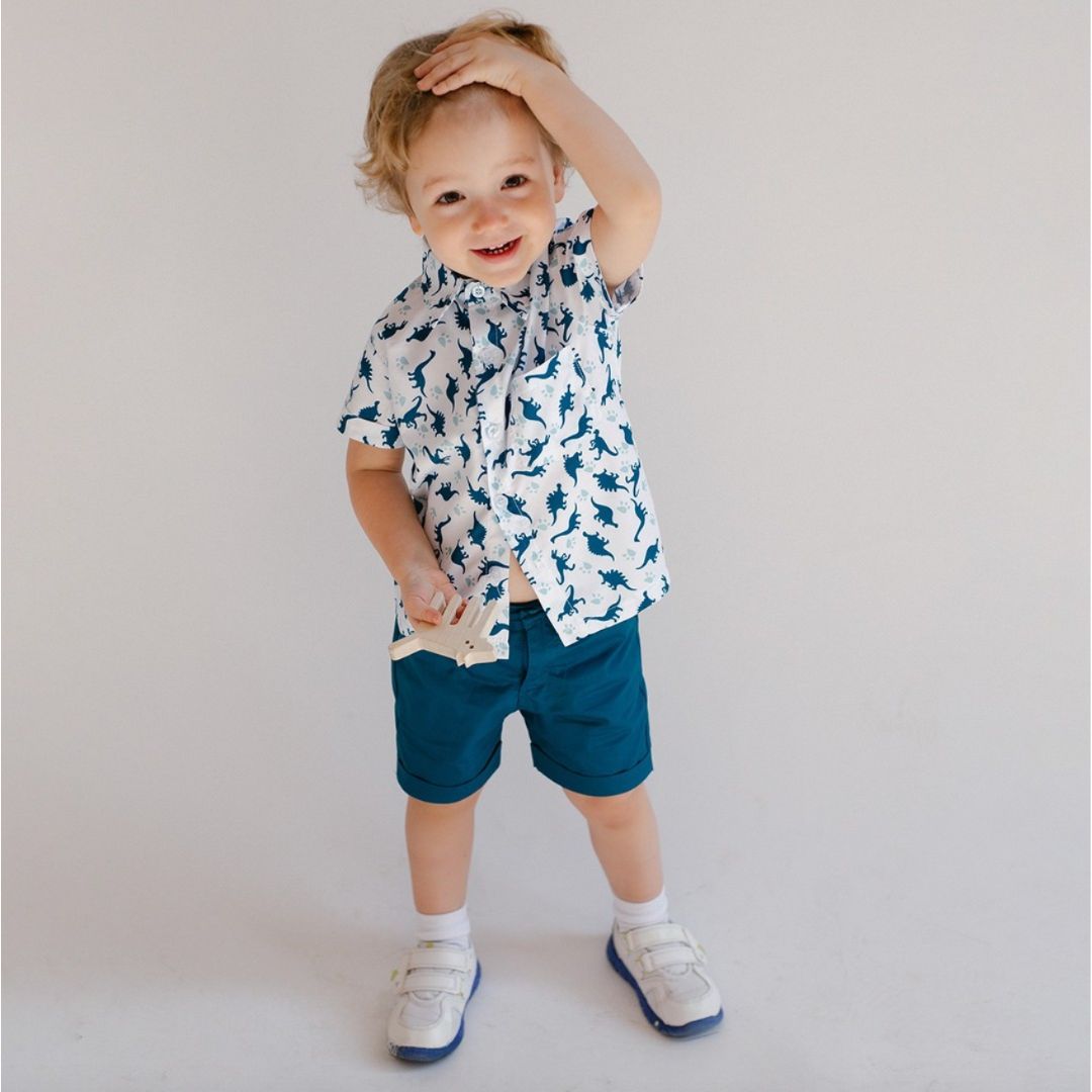 Dinosaur boys clothing discount