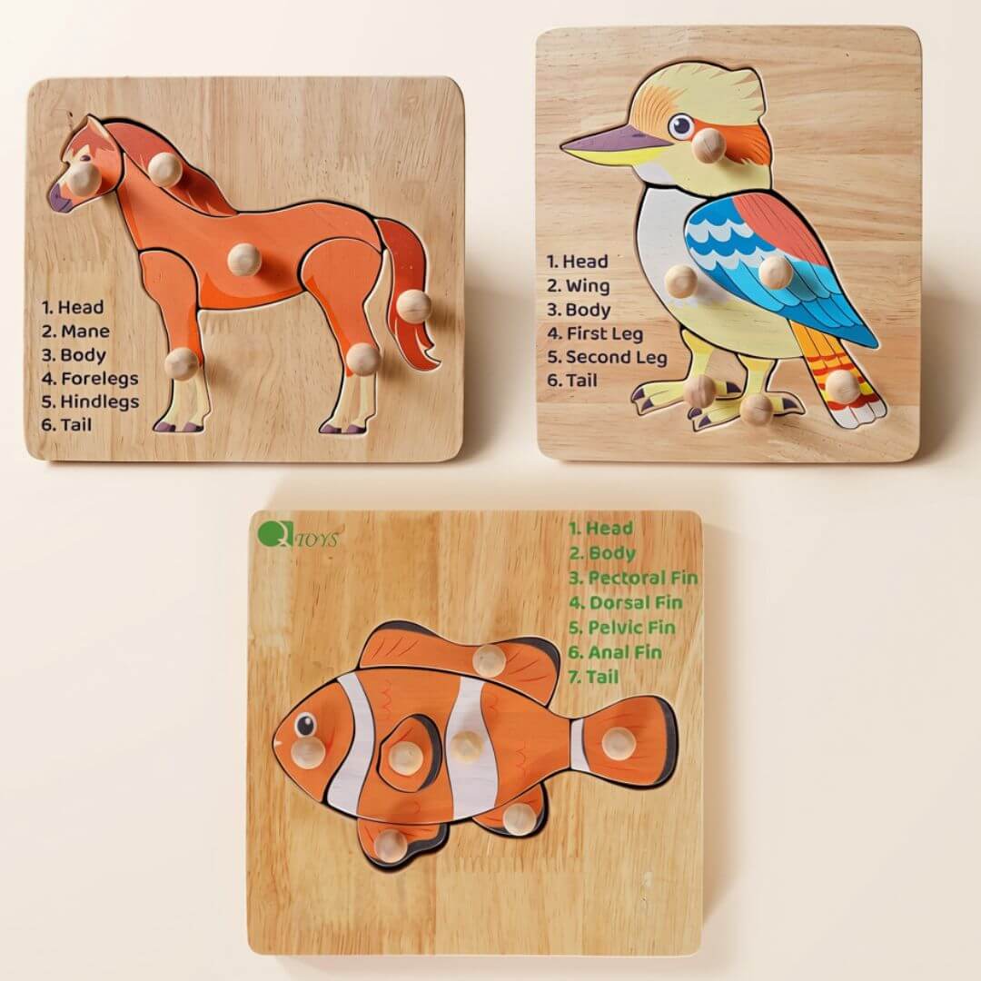Three Qtoys wooden knob puzzles – a horse, a kookaburra and a clownfish – each with a printed key of body parts