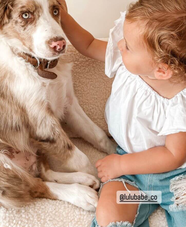 Skye Denim Toddler Set | Blue Jeans & White Off Shoulder Top for Girls - Lulu Babe