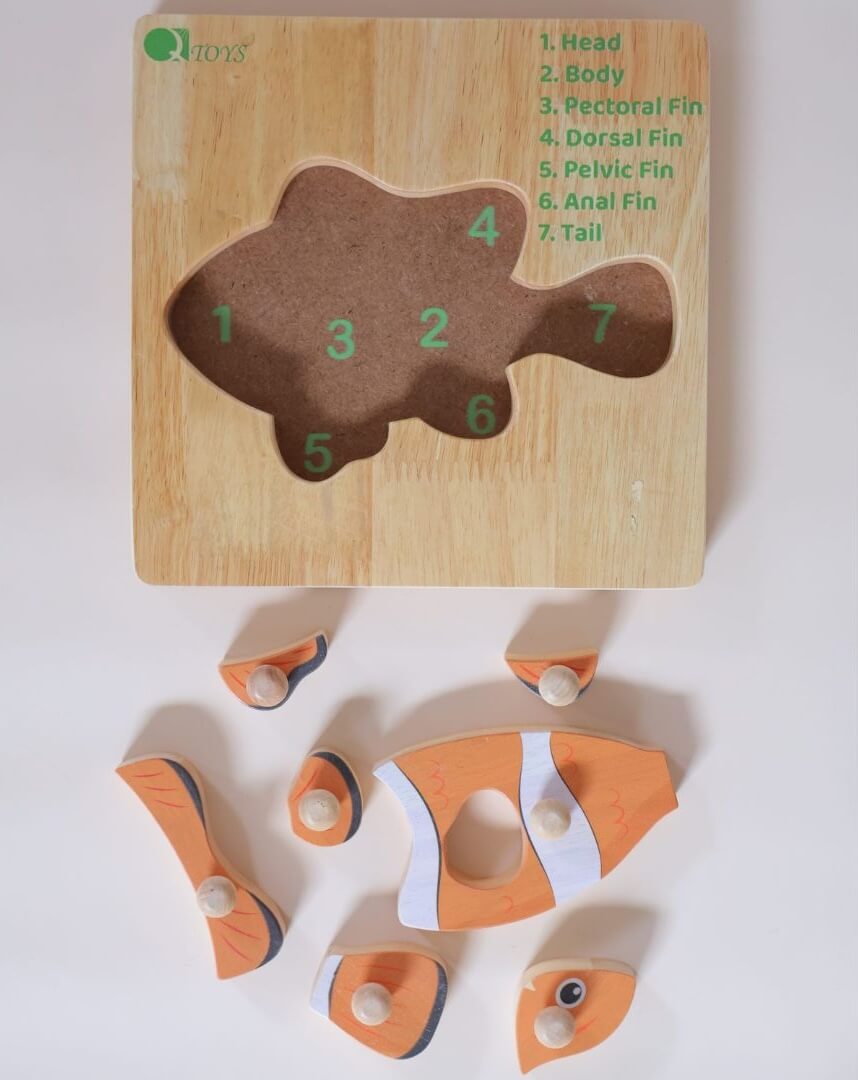 Clownfish knob puzzle pieces removed from the board, showing numbered cut-outs for each fin, the head, body and tail