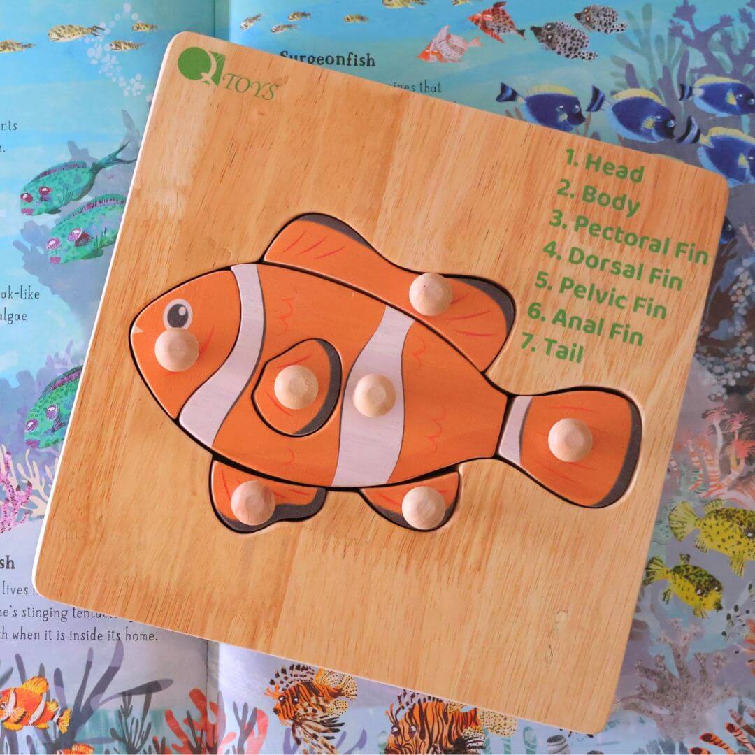 Wooden clownfish knob puzzle with seven labelled pieces, resting on an open book about coral reef fish