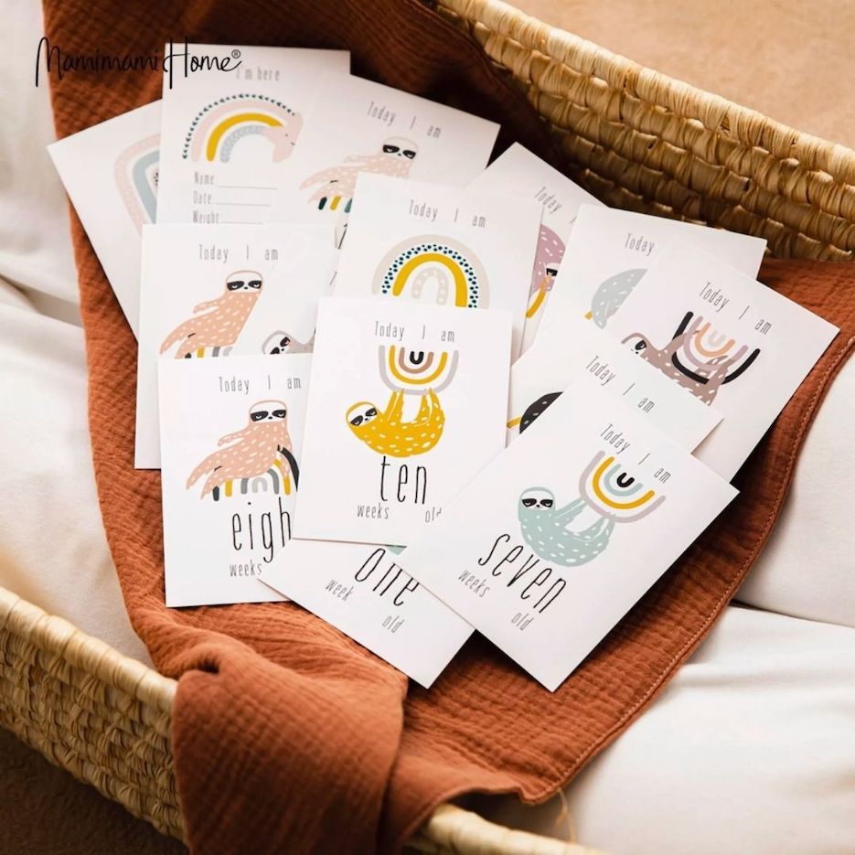 Silicone Feeding Gift Set with Toy & Milestone Cards | Baby Gift - Lulu Babe