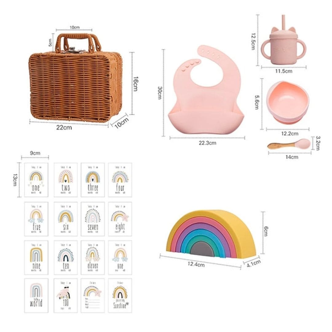 Silicone Feeding Gift Set with Toy & Milestone Cards | Baby Gift - Lulu Babe